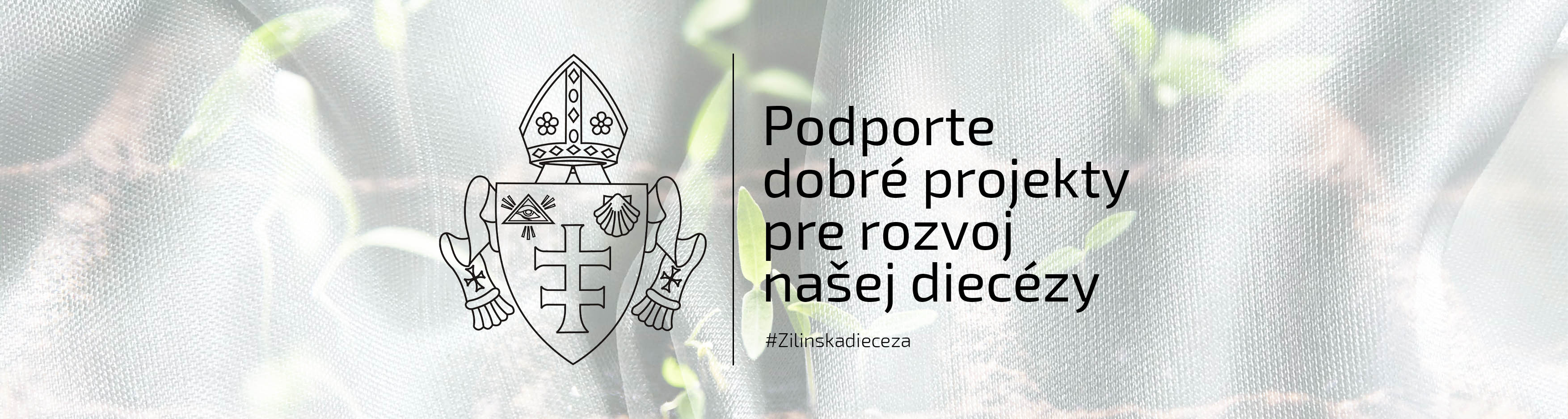 banner-image